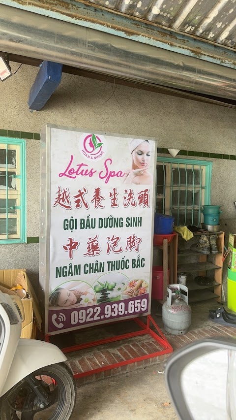 阿咪越南食物