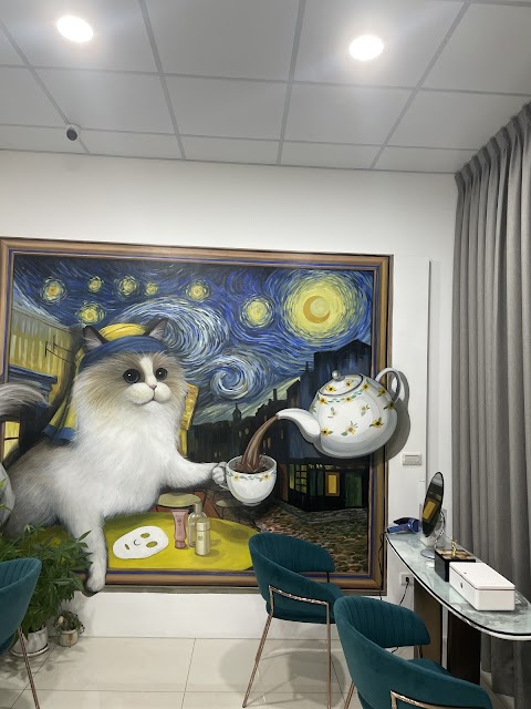 洗臉貓台中南屯店