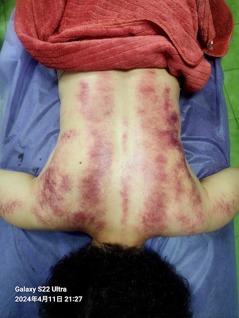 美諾 艾草薑溫罐美學