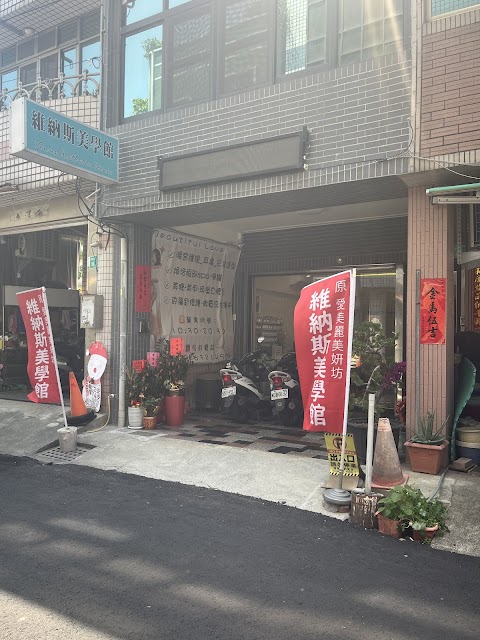 維納斯美學