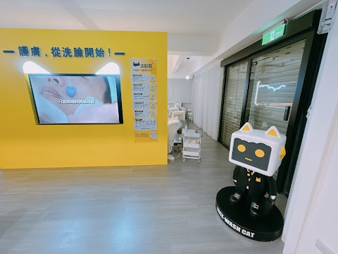 洗臉貓